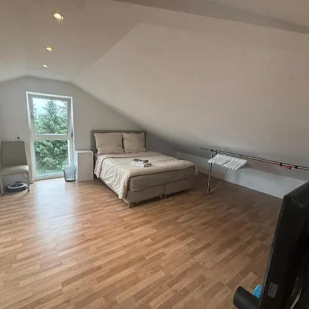 Bright Attic With Charm Apartment Sargans