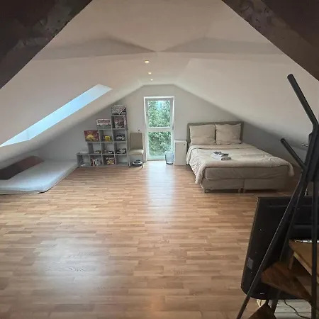 Apartment Bright Attic With Charm