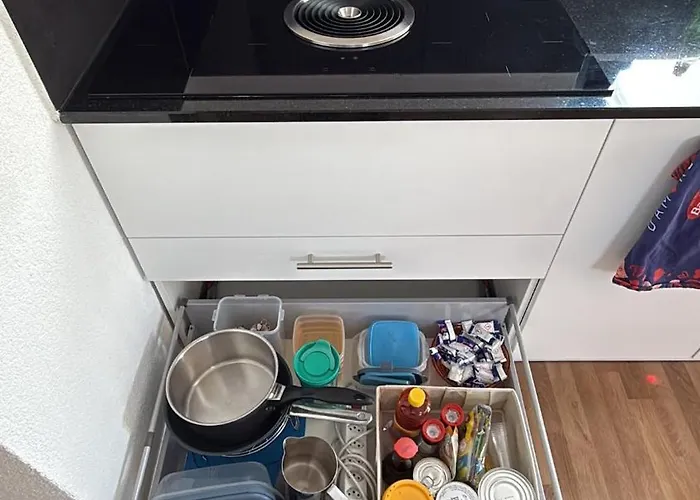 Bright Attic With Charm Sargans