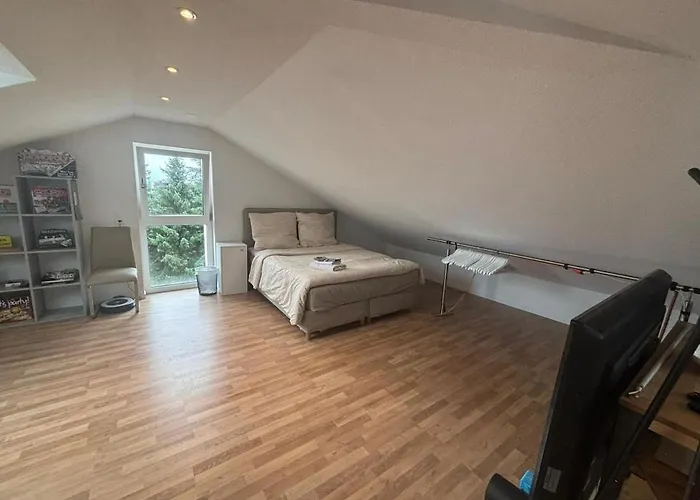 Bright Attic With Charm Apartament Sargans